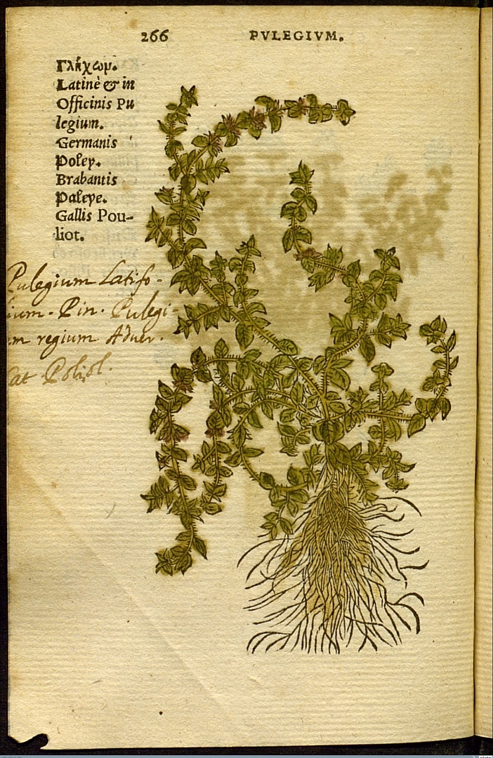 no HD illustration available (3)