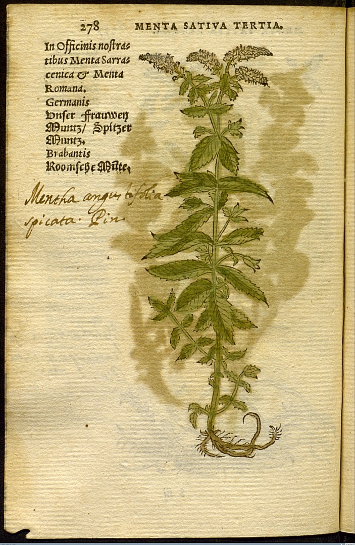 no HD illustration available (3)