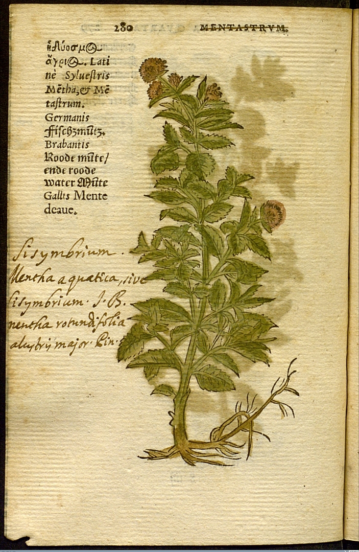 no HD illustration available (3)