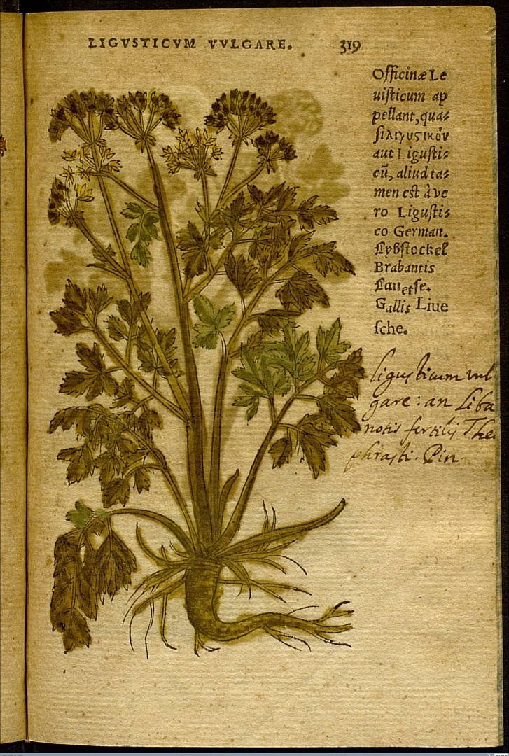 no HD illustration available (3)