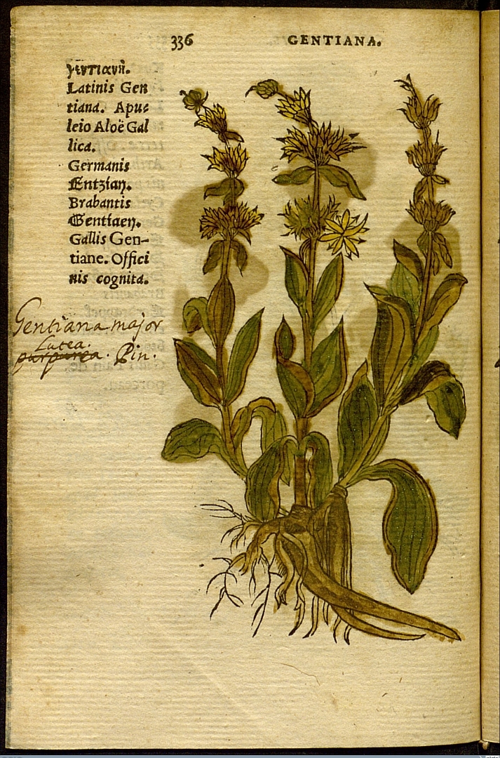 no HD illustration available (3)