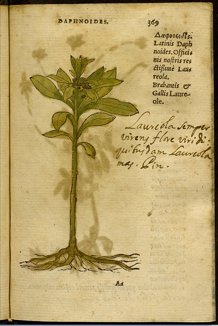 no HD illustration available (3)