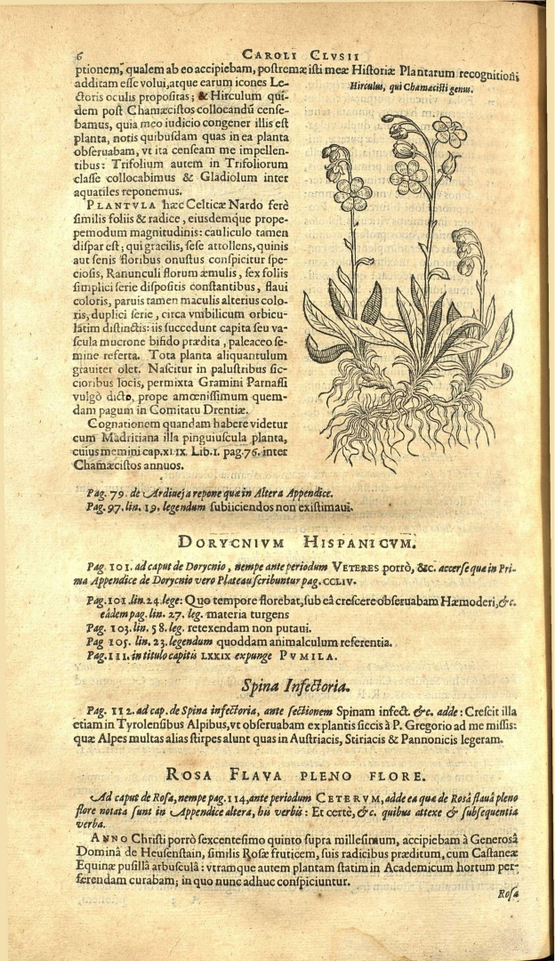 no HD illustration available (3)