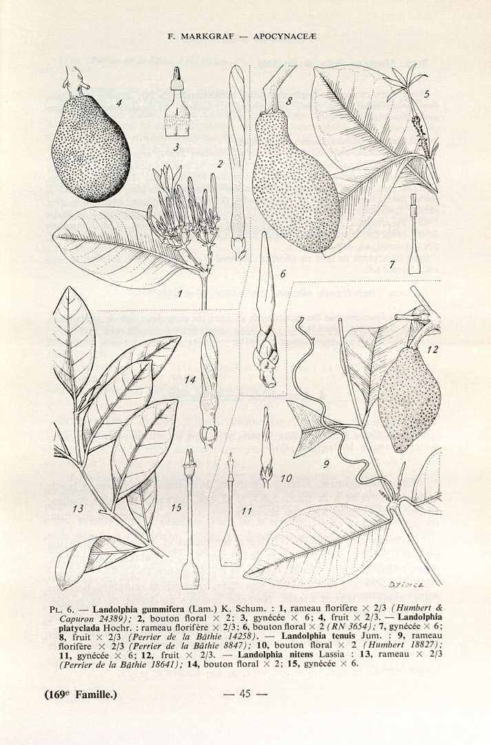 no HD illustration available (3)