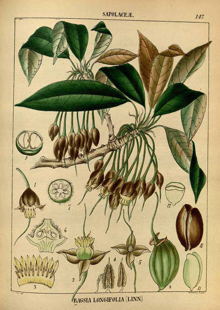 no HD illustration available (3)