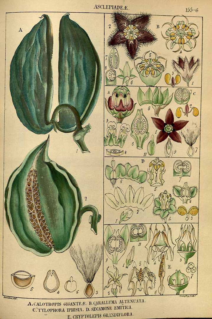 no HD illustration available (3)