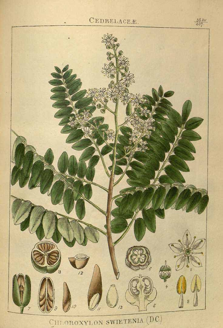 no HD illustration available (3)