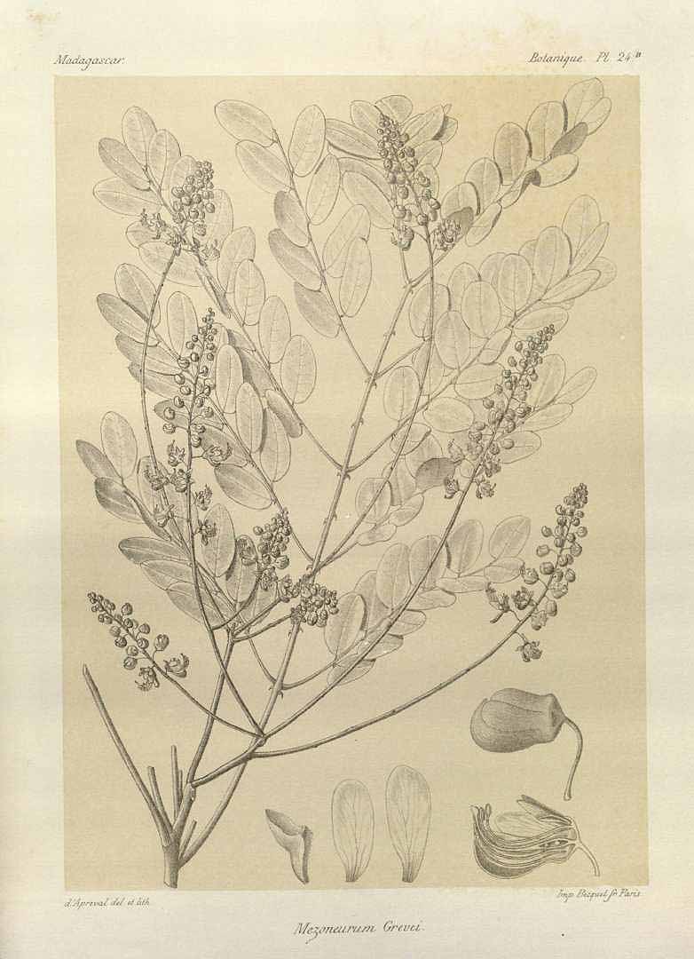 no HD illustration available (3)