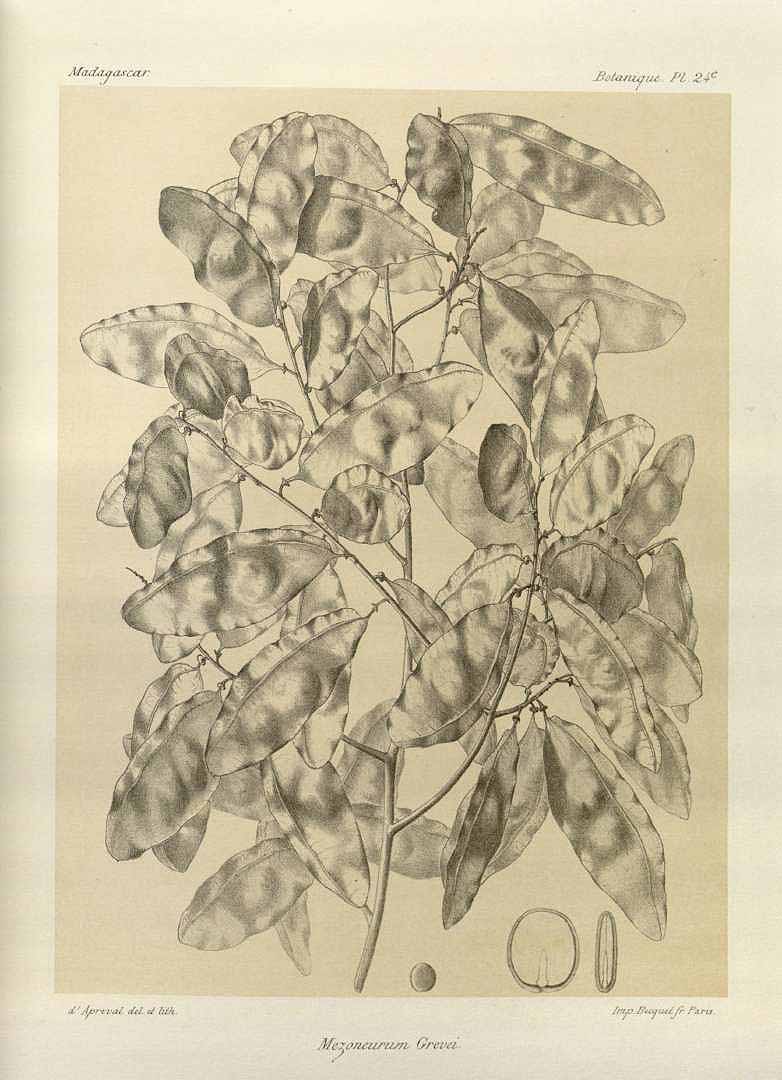 no HD illustration available (3)