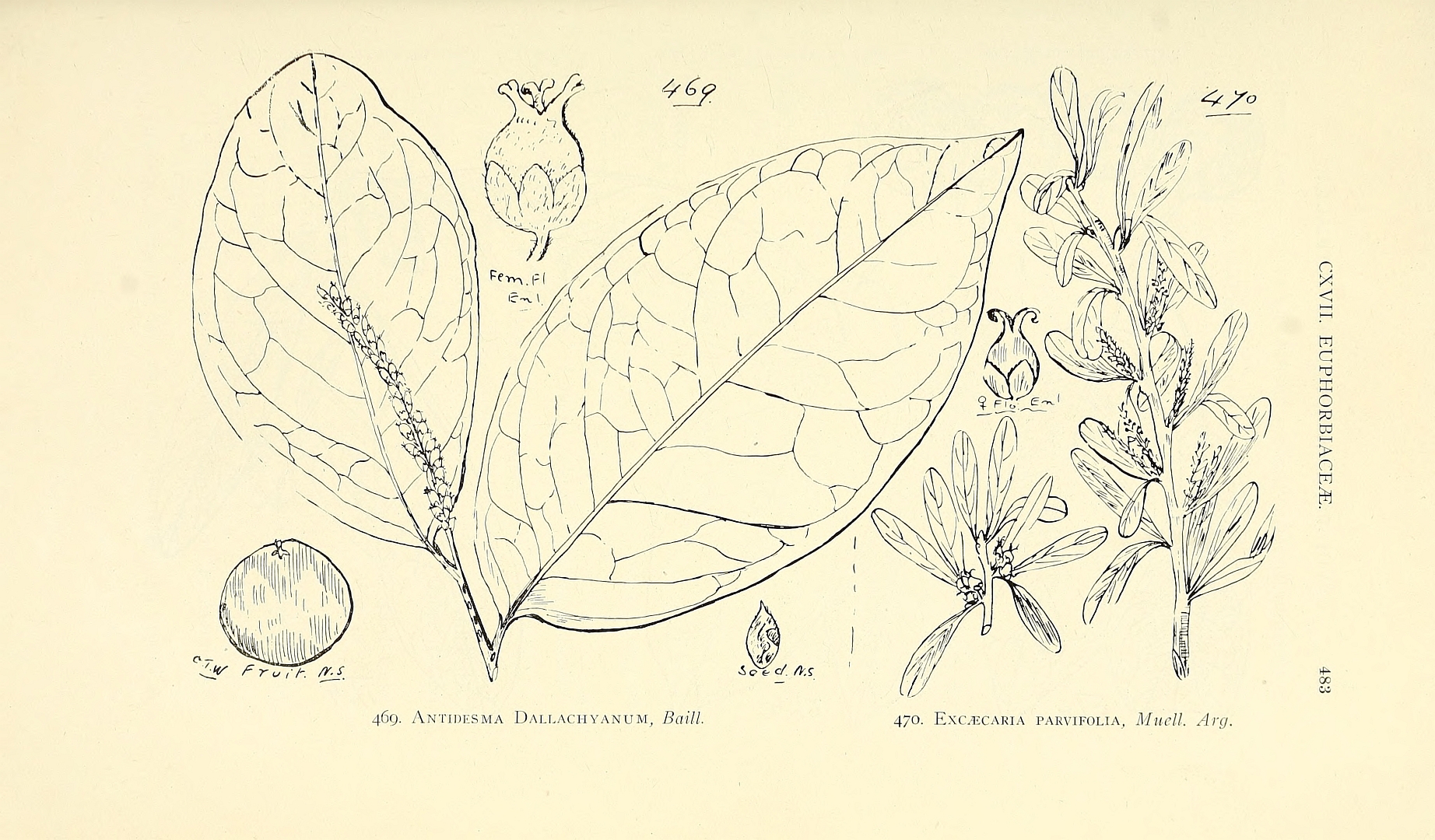 no HD illustration available (3)