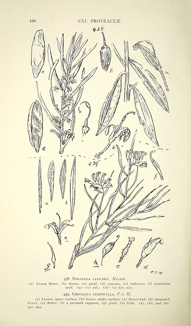 no HD illustration available (3)