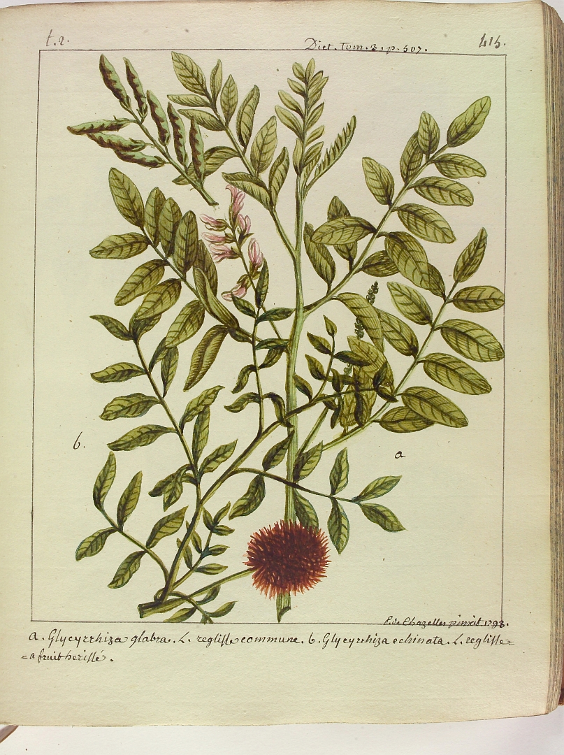 no HD illustration available (3)