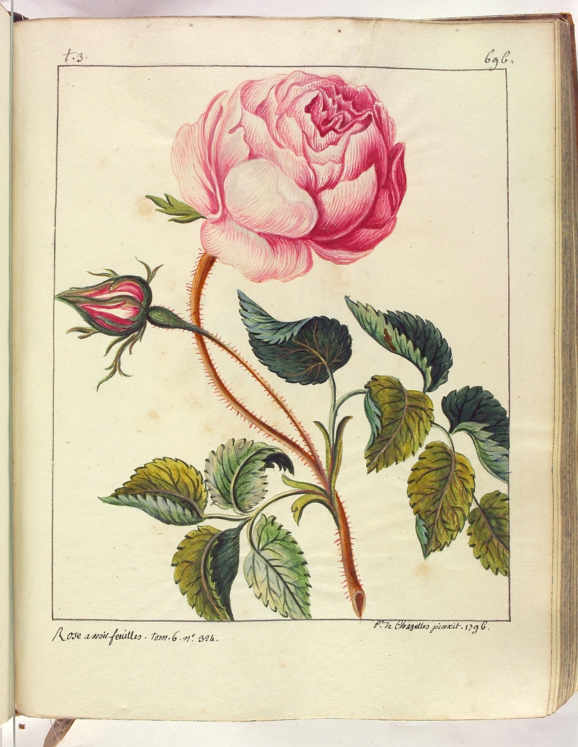 no HD illustration available (3)