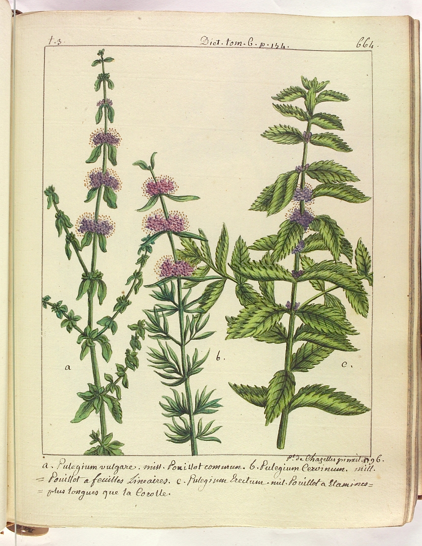 no HD illustration available (3)