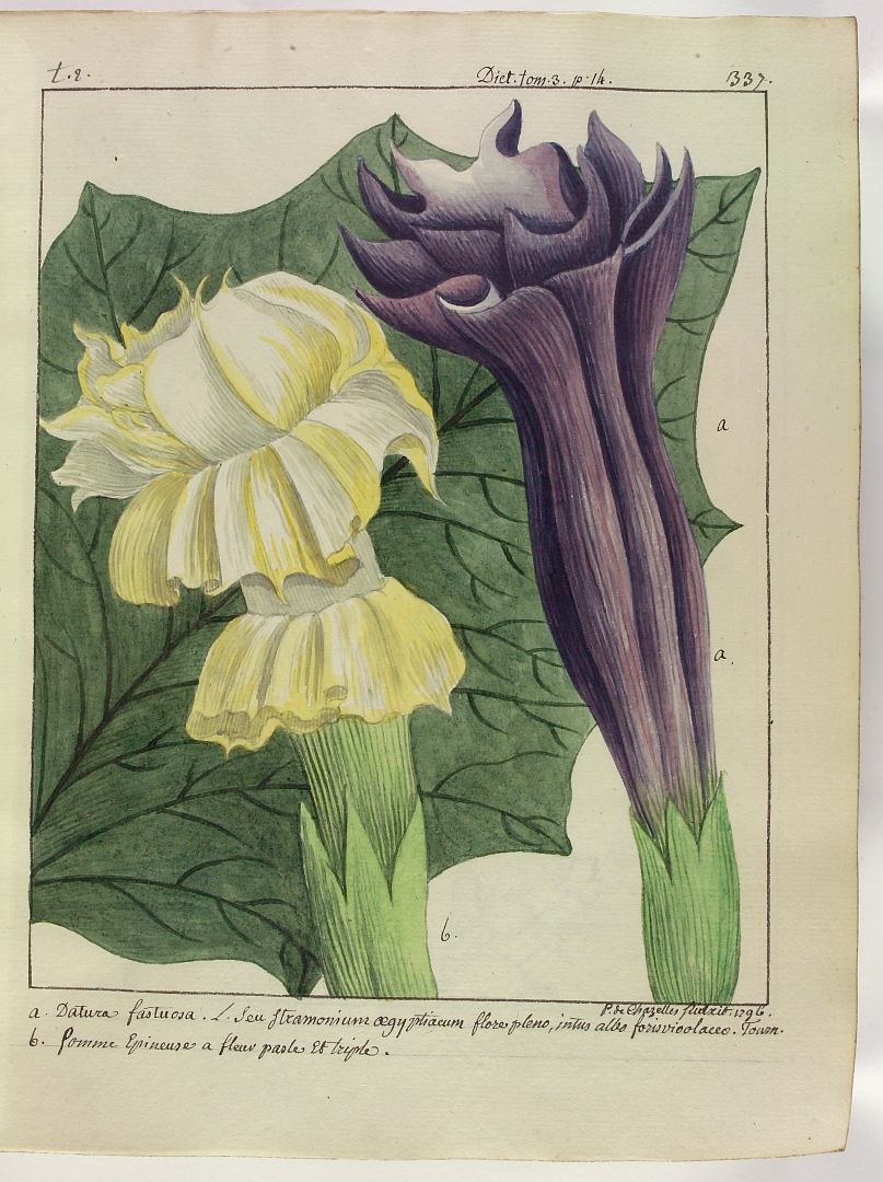 no HD illustration available (3)