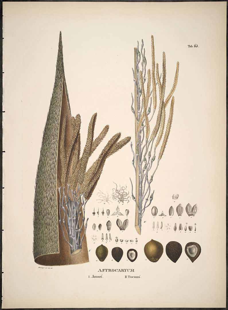 no HD illustration available (3)