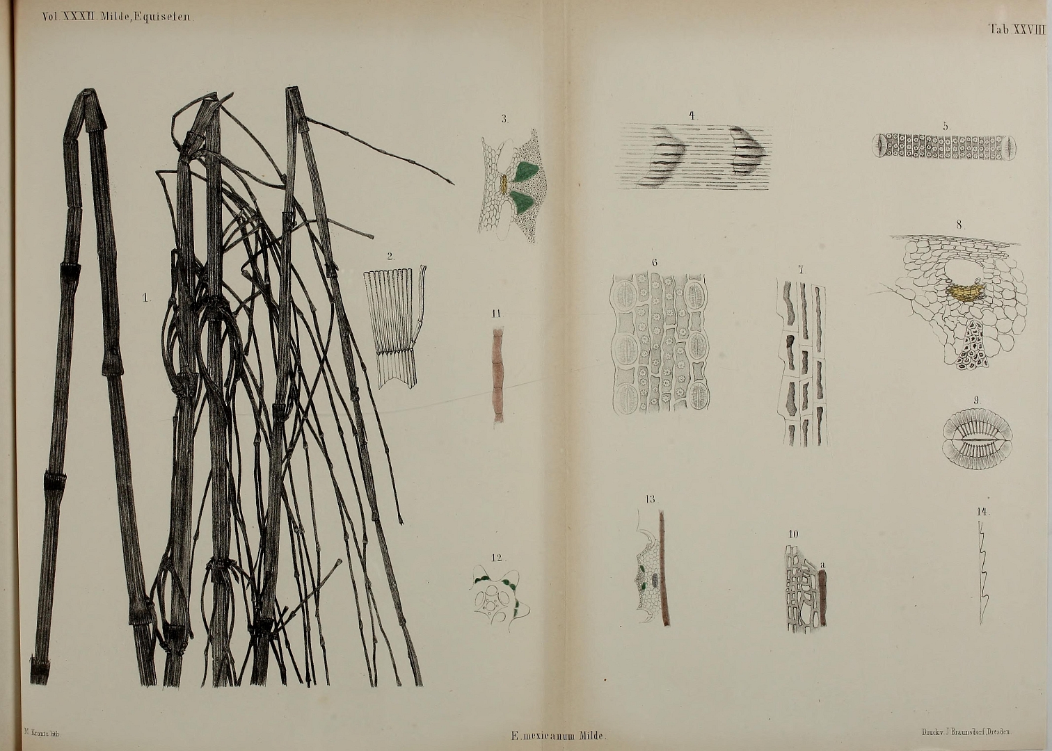 no HD illustration available (3)