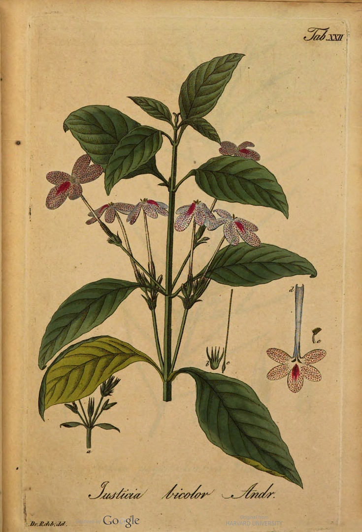 no HD illustration available (3)