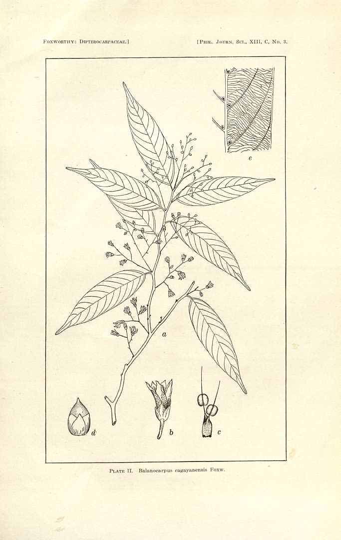 no HD illustration available (3)