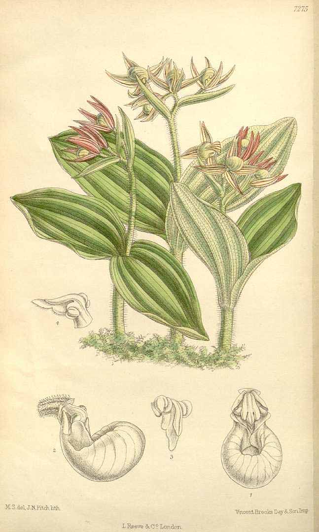 no HD illustration available (3)