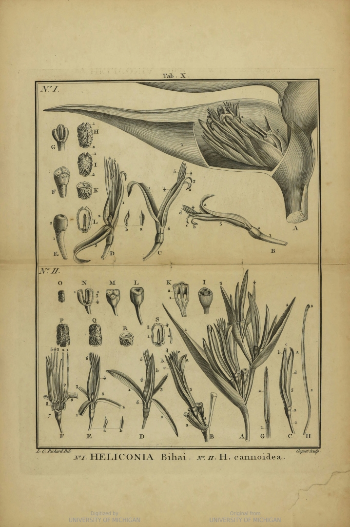 no HD illustration available (3)