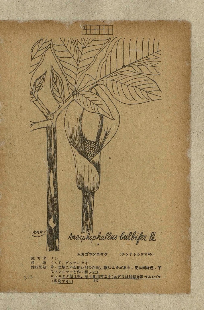 no HD illustration available (3)