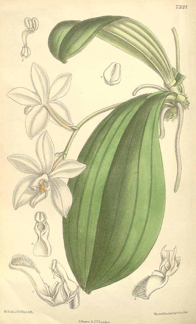 no HD illustration available (3)