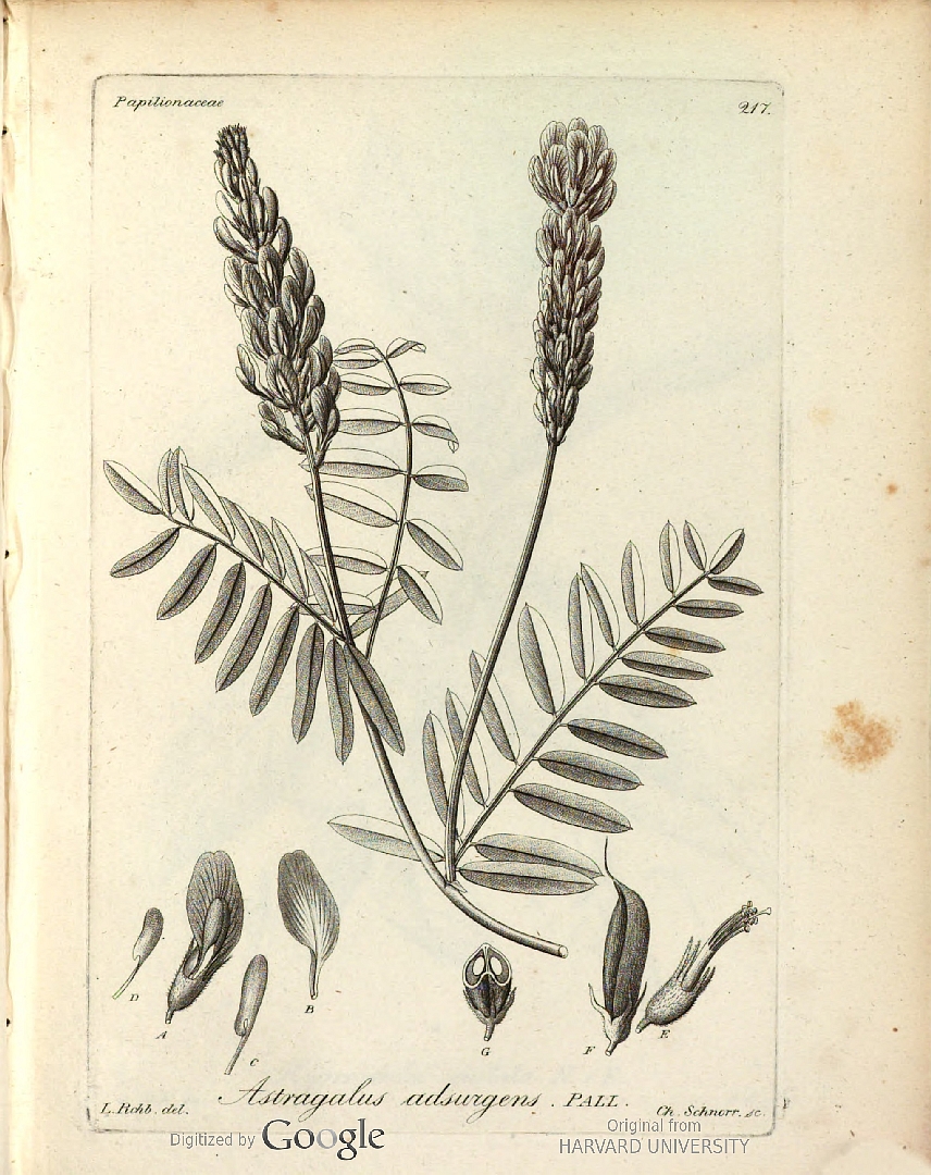 no HD illustration available (3)