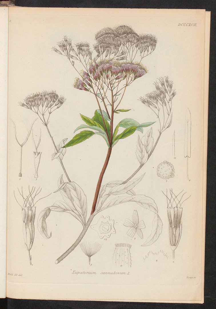 no HD illustration available (3)