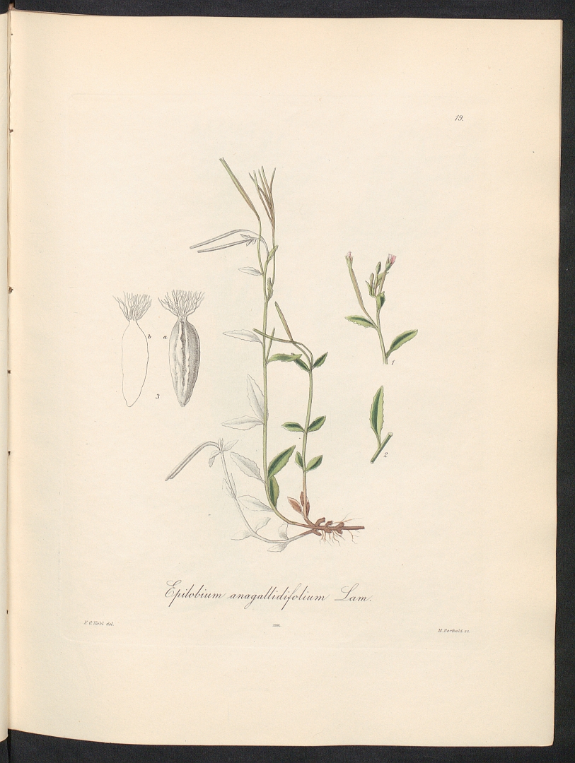 no HD illustration available (3)