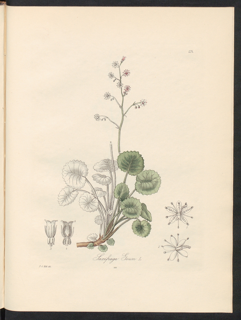 no HD illustration available (3)