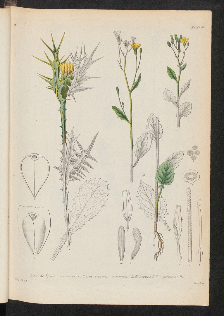 no HD illustration available (3)