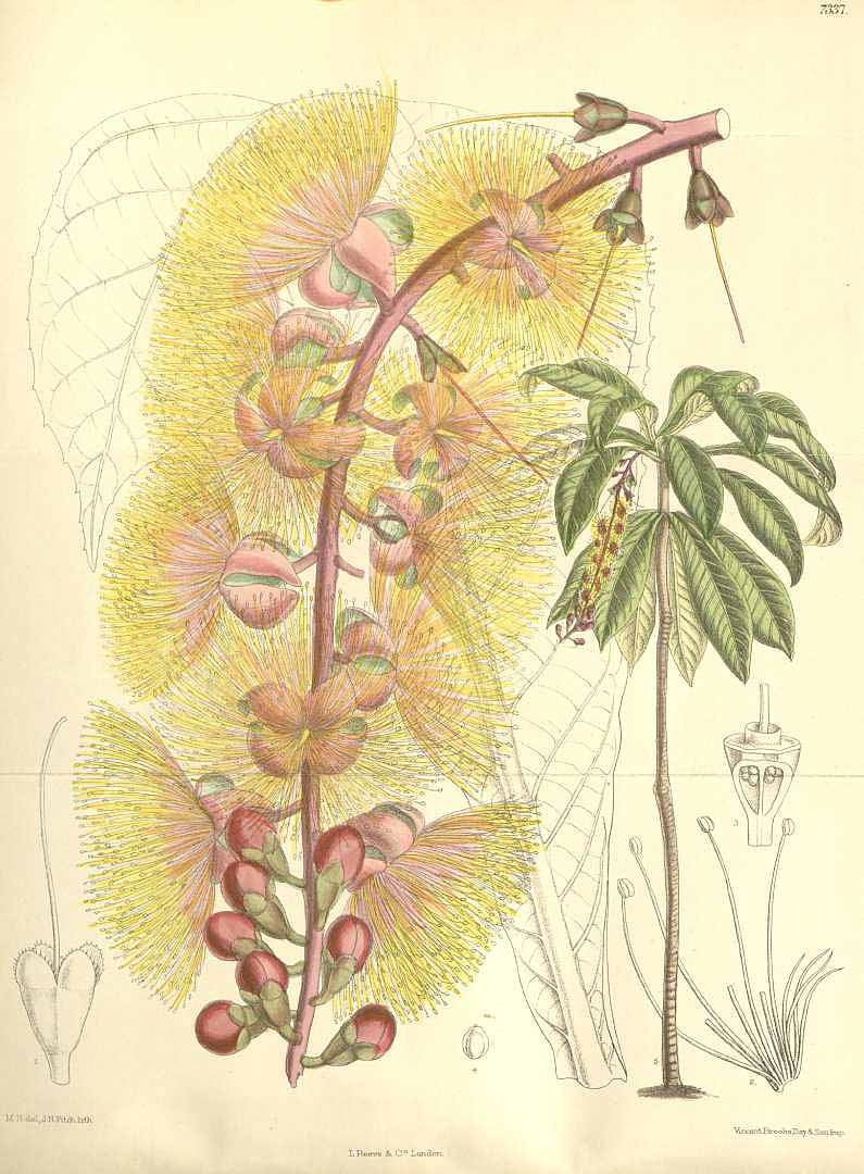 no HD illustration available (3)