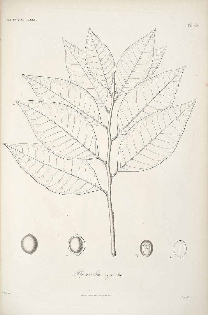 no HD illustration available (3)