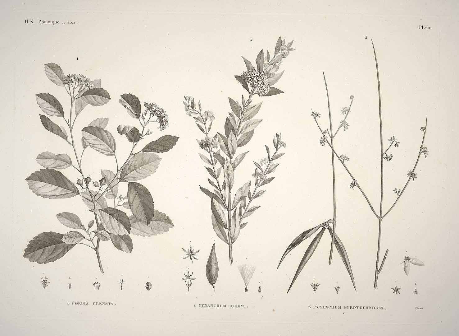 no HD illustration available (3)