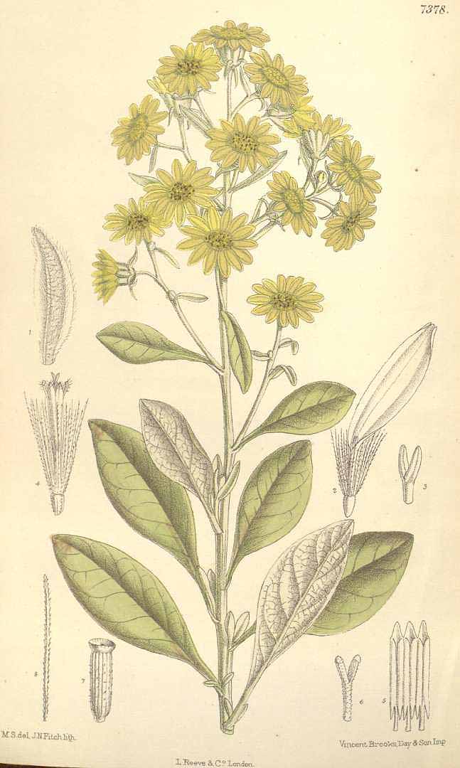 no HD illustration available (3)