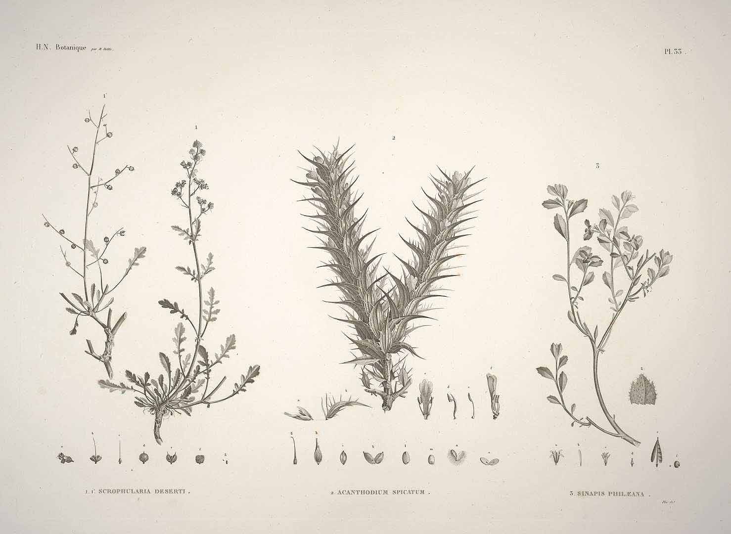 no HD illustration available (3)