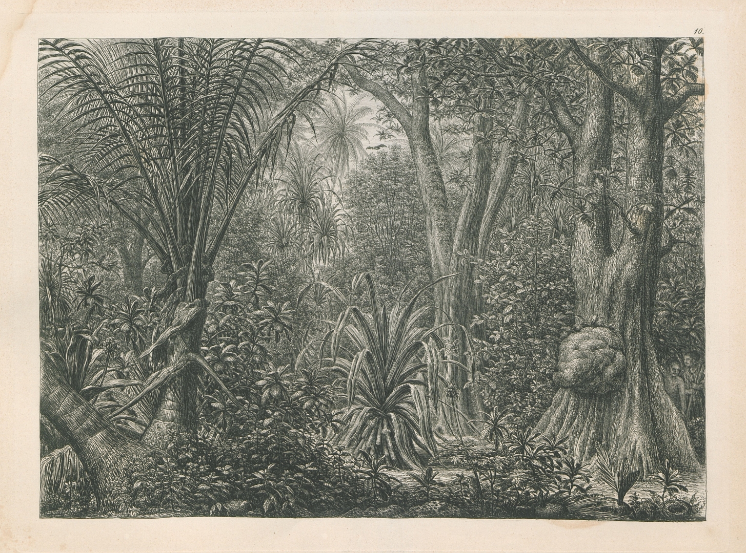 no HD illustration available (3)