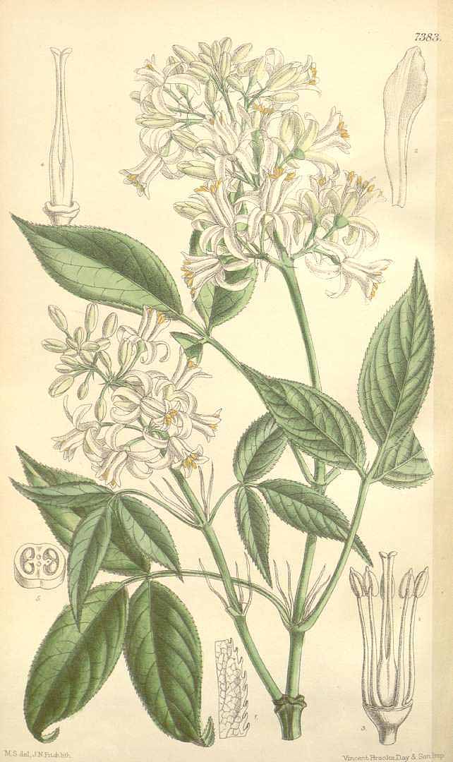 no HD illustration available (3)