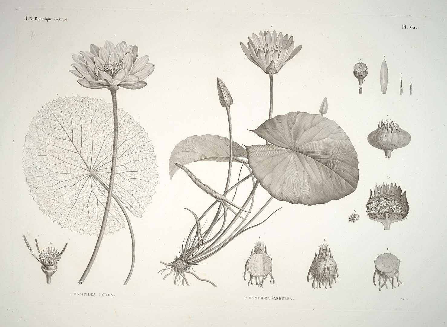 no HD illustration available (3)