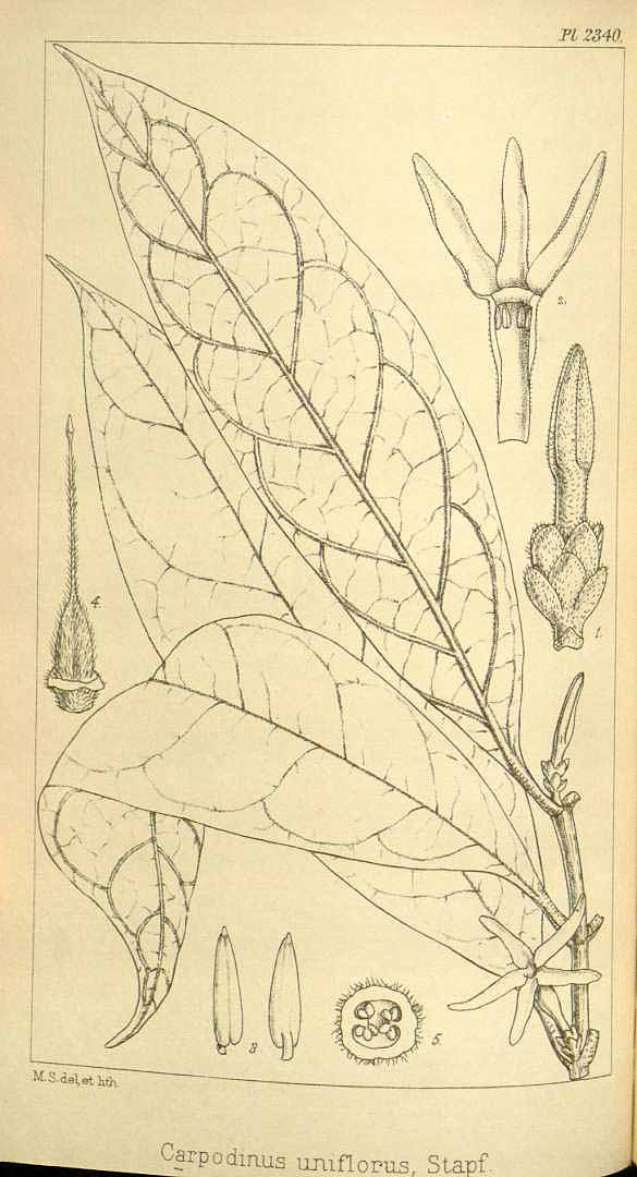 no HD illustration available (3)