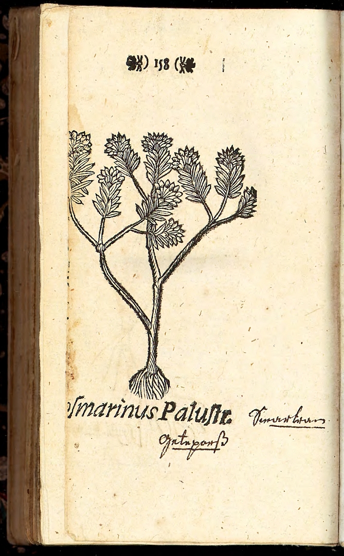 no HD illustration available (3)