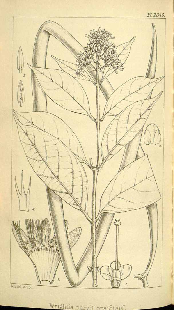 no HD illustration available (3)