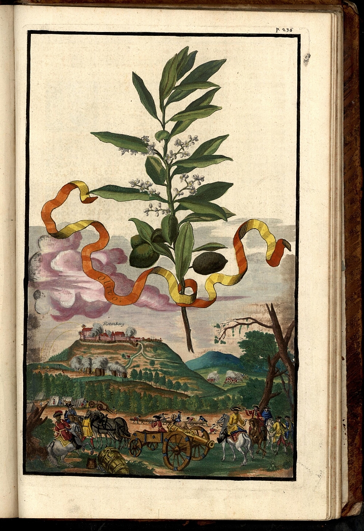 no HD illustration available (3)