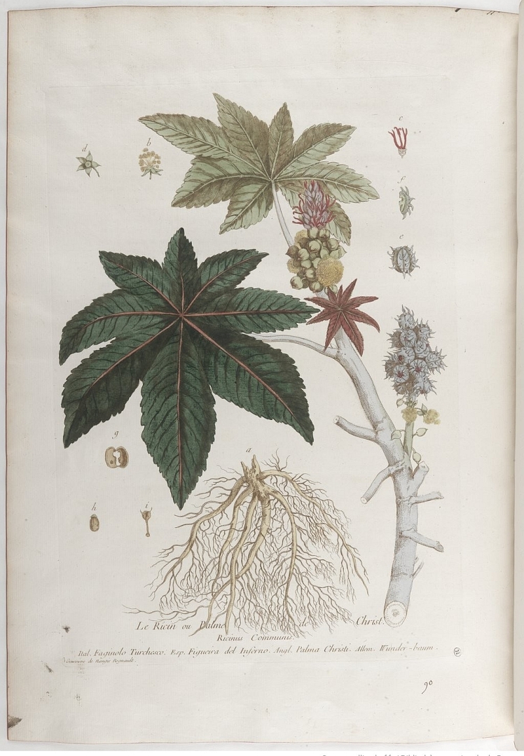 no HD illustration available (3)