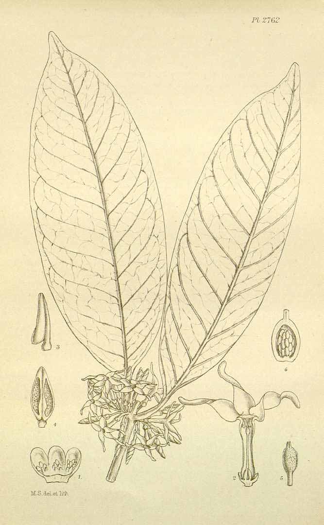 no HD illustration available (3)