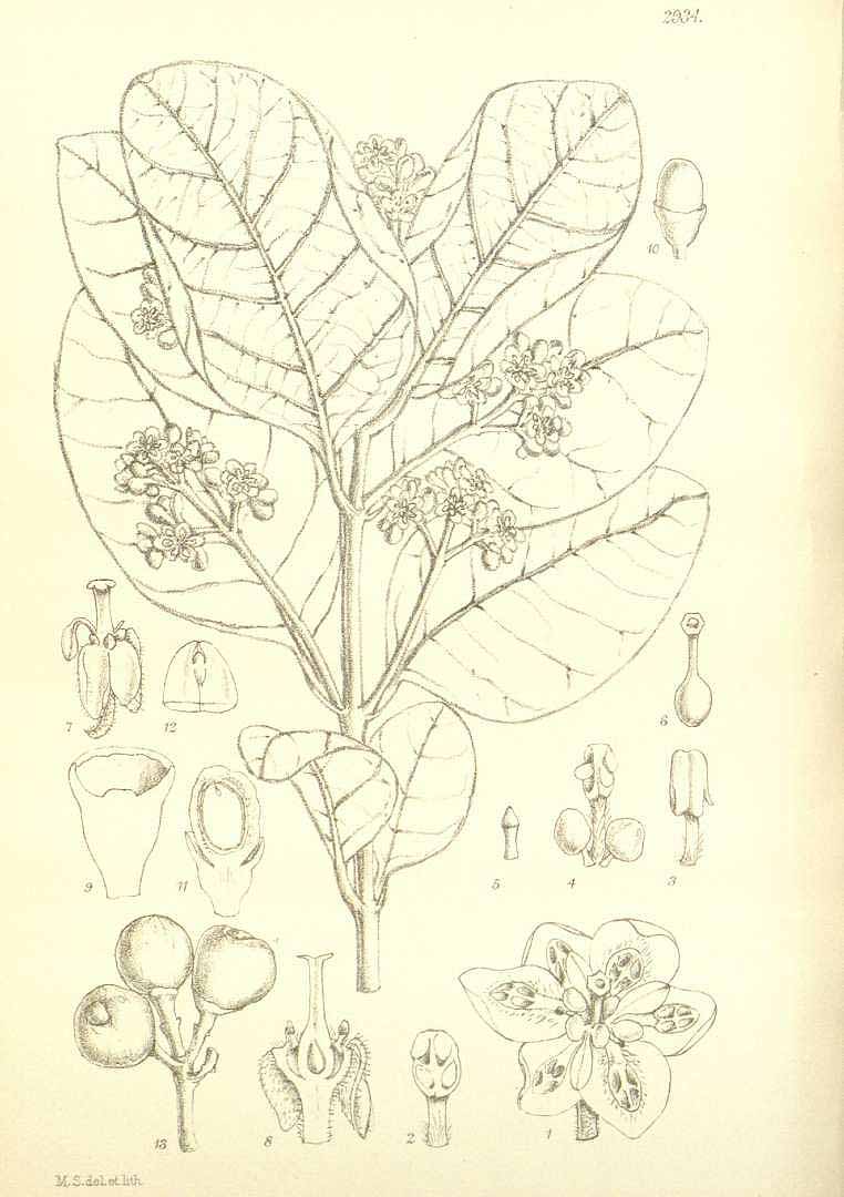 no HD illustration available (3)