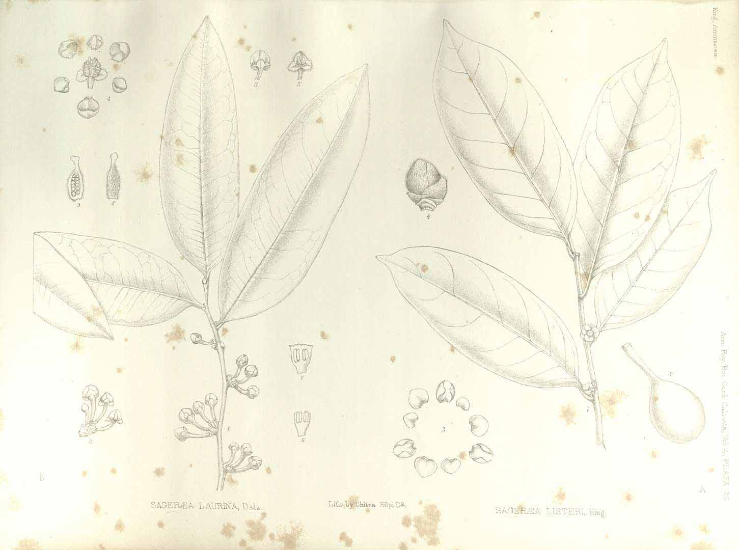 no HD illustration available (3)