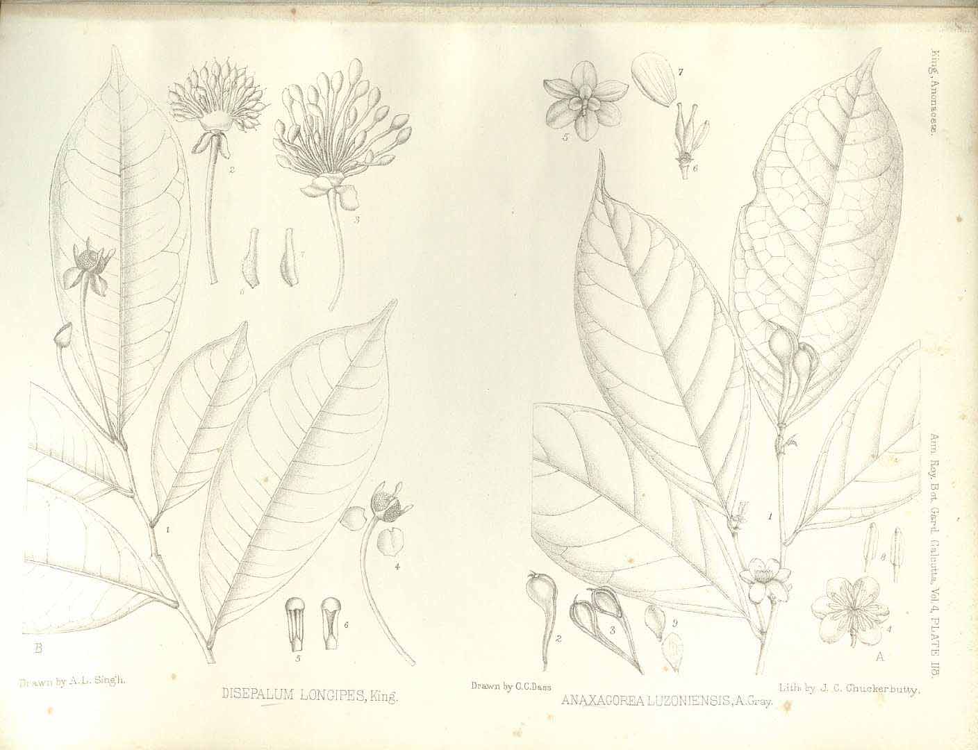 no HD illustration available (3)