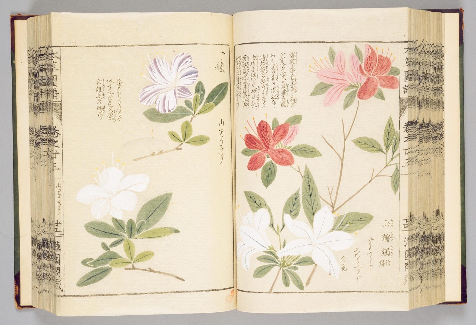 no HD illustration available (3)